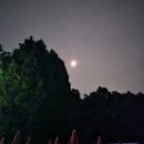 예산-25 | 예산 여행: 은성농원 예산사과와인페스티벌(사과와인축제) 후기