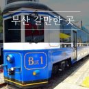 송정동 555-1 | 부산 해운대 블루라인파크 스카이캡슐 해변열차 15%할인 예약방법 시간표 금액 애견동반 여행 가볼만한곳
