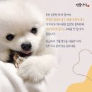 견물화식 이미지