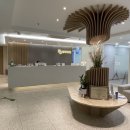 모아이의원 | 강남 역삼 탈모 두피케어 피부과~모아이의원에서 MTS 관리 후기