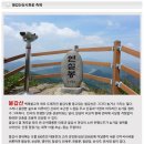 불갑사 꽃무릅(상사화) 이미지