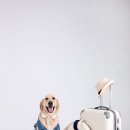 정평동물병원 이미지