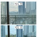 그린하우스방역