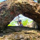 좋은소나무 이미지