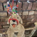 광천사 | 광천동 카페 라이크마이베이커리 분위기 좋은 카페 솔직후기 내돈내산