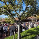 아씨네간식 | [2025] 3박 4일 도쿄(디즈니씨/ 시바공원/ 미니스톱 간식추천)3