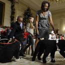 퍼스트펫 이미지