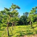 양수목장 이미지