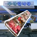 전남약국 | 무안낙지거리맛집 몸보신제대로! 무안갈낙탕 한우불낙 후기