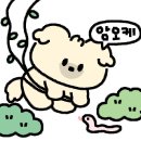 스킨호프 네이버블로그