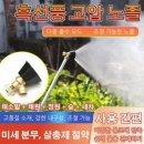 채원의숲 이미지
