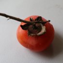 돈꾸러미 이미지