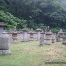 양양명주사부도군 Daum카페
