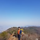 백양정약수터 티스토리