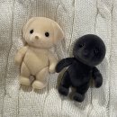 (주)본가정항우케익 다대포역점 | 바쁘다 바빠 10월