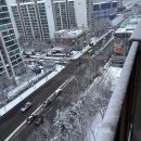 서현봄약국 | 📝 우리 우리 설날은 2026년 2월의 이모저모 | 월간 린모저모