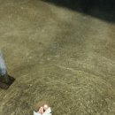 월성계곡산장 이미지