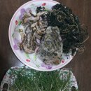 텃밭야채