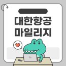 호주면세점 원당점 | 대한항공 마일리지 적립 및 기간 꿀팁 총정리