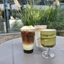 어반플랜트 수영 이미지