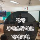 안양부안초등학교 이미지