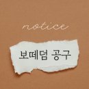 보떼덤 공구 엘리시어 에센스 후기