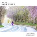 수양 이미지