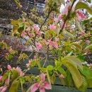 하서2리 이미지