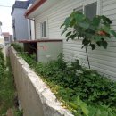 강정동-22 이미지