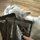 믿음원외탕전 이미지