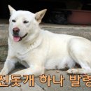 레이스온