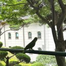쉼터(만남) | 인천 청량산 근처 흥륜사 쉼터 (주차, 메뉴, 힐링 뷰)