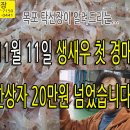 2025년 11월 11일, 동백하 생새우 첫 경매 하였습니다. (탁선장 목포 남도농수산 *** **** ****. 010 9871 04 이미지