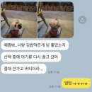 멍깨비마켓 이미지