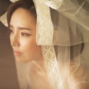 더뉴플라워 이미지