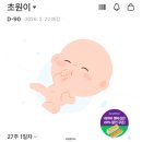 동해중기 | 2025년 동해시 임산부 등록, 임신 초기 중기 지원 이용 후기