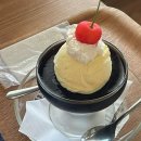 마츠야마 3박 4일 일정 공유 및 정리...