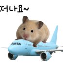 스테이여린 이미지