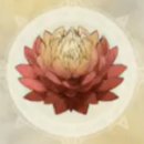 디바인 메디칼 이미지