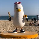 하프타임 감천점 | 부산 1박2일 코스 추천 부산 여행지 가볼만한 곳 (부산 엔토 짐 보관소)