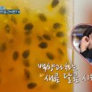 희하당