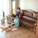 동물병원 이야기 이미지