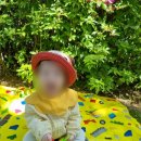 충주어린이집 이미지