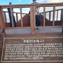 보성농장 Daum카페