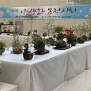 전국야생화전시회 이미지