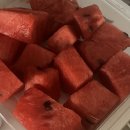 신마산주유소 | [일상 블로그]5/23 - 5/29 입맛 없다 입맛 없어