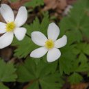 하늘정원1 이미지