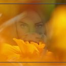 플라토닉 이미지