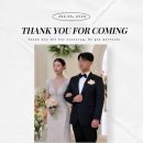 그늘과 빛의 기억 | 결혼식 아이폰스냅 인천 웨스턴팰리스 홍홍스냅 솔직 후기