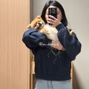 인앤양양 이미지